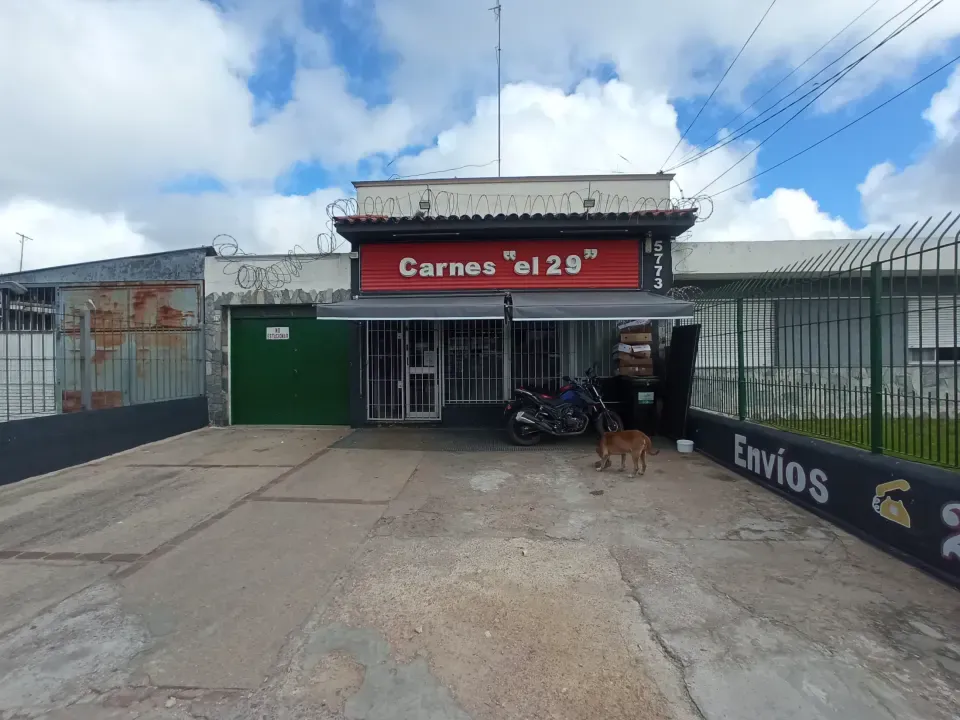 Foto 3 de Carnes el 29